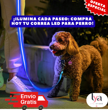 Correa LED
